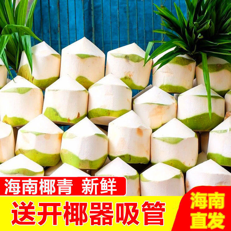 Hainan coconut fresh coconut green seasonal fruit, pregnant women, Hainan produced Wenchang tropical large coconut coconut juice wholesale whole box