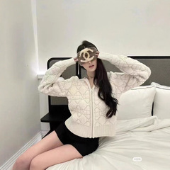 2025秋冬新款格纹小蜜蜂绣拉链连帽长袖纯色款毛巾针织开衫外套