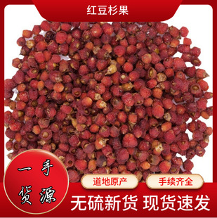 ���l��ș�ļt��ɼ�� �t��ɼ �t��ɼ�~ �t��ɼƤ �Y�|�Rȫ