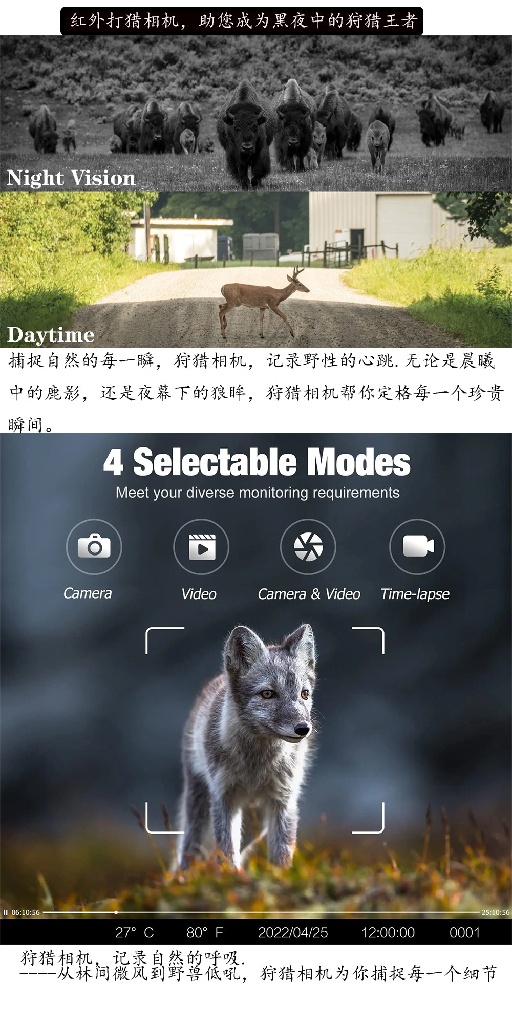 尾巴2