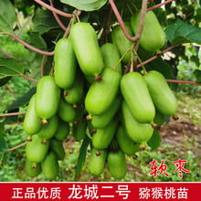 ܛ���J���Ҙ����޽����Ƕ�̖ܛ���ӫJ�������ͺ����������殐ݮ