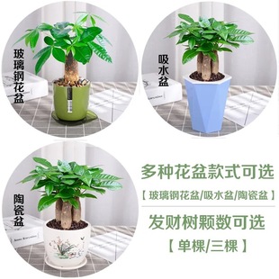 �lؔ�������҃ȿ͏d����GֲС�辰��lؔ������ؔ����ֲֵ��