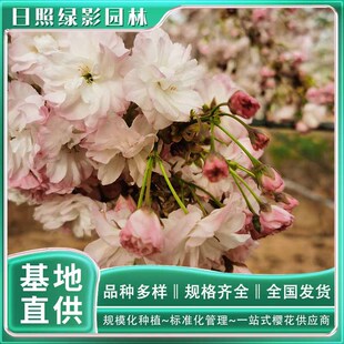 5���ֵ����ј���ʲô�r������ ���ѻ��a��ֱ�N