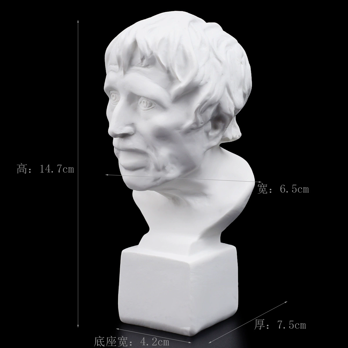 Gypsum avatar art sketch teaching aid sketching practice home decoration art carving window decoration