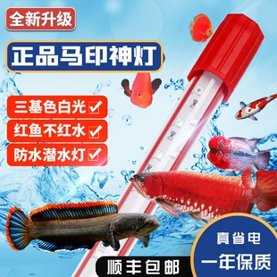 Product Media