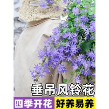 L⏻NļN_Ի̨ܻͥԺN