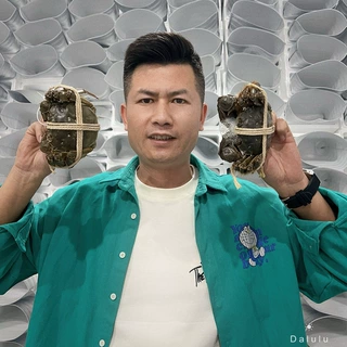 江苏鲜活大闸蟹公蟹4.5两 母蟹3.5两 4对礼盒装  批发价优 可代发