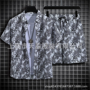 (Cross-border trading), beach shirt, set, men's comfortable trousers, plus size
