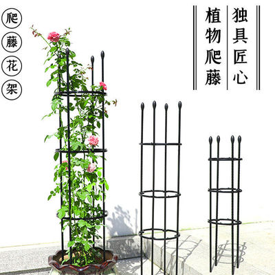 包塑花支架鐵制圓柱植物玫瑰爬藤攀爬杆西紅柿固定月季花架