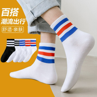 �T���m�I�l�y�m�����\�����ﶬ��������͸��WԺ�L��Ͳ�nϵins�L