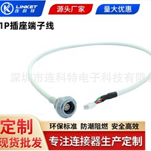 SƼlemo1P2-14оĸOoxO侀|ĸ^Ӿ