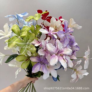 ���滨�����m���ٺϻ���c��Y�üٻ����������zӰ�������m��