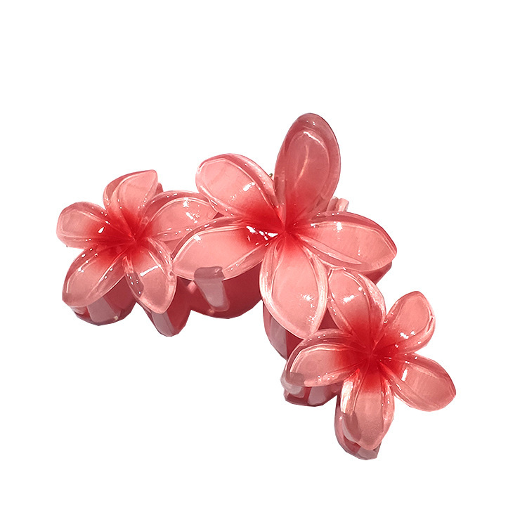 国境を越えたアマゾンの卵の花がグラデーションの花のキャンディー色の紫荊花の後頭部をつかんでサメの花を挟んで髪を伸ばします。|undefined