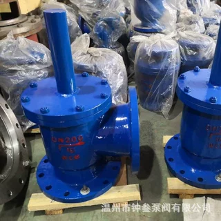 SSDF-1-25C 水上式底阀 水泵止回阀 水利控制阀 软密封水上式底阀