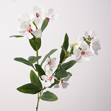 ��Ʒ�|�L�����{ɫ�{�{����֦�����Ҿ��b�Ʒϵ�ٸ���ѩ��ѩ���