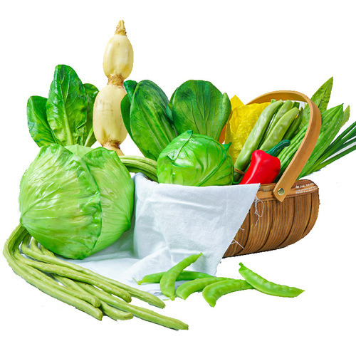 Bulk wholesale fake vegetables early education props studio shooting props window display decorations fake cabbage radish fake vegetables