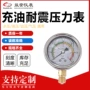 径向耐震轴向yn60充油表