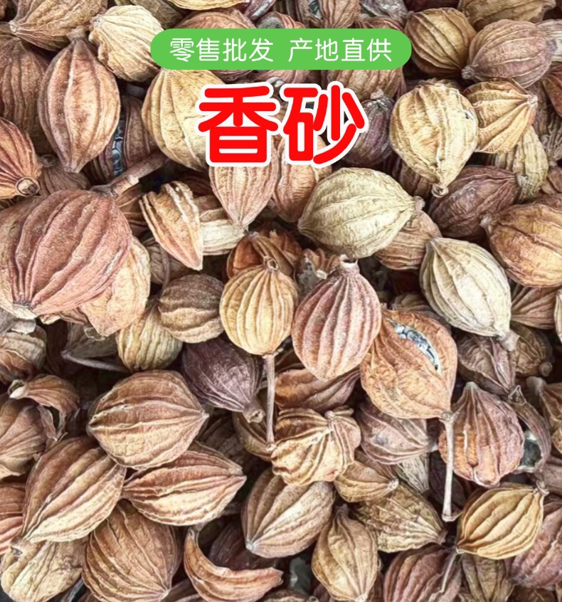 Dried Xiang Sha Spice Amomum Fruit 500g Premium Grade for Herbal Soups and Culinary Use overview