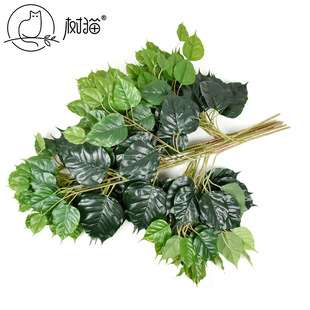 ���Ϳ���������~�ָО����~���Ϙ�֦�@�ֹ����b���ֲ�������