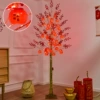 Red fruit tree + persimmon