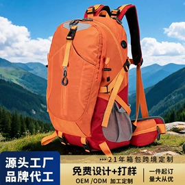 通用双肩背包;商务背包;休闲背包