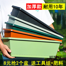 �̨�L���ηN����N��������ͥ�̨�߲˲�ݮ���Ԍ������ش�̖����