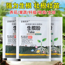 生根粉快速生根粉植物通用生根剂壮菜苗发根生根剂移栽扦插壮根素