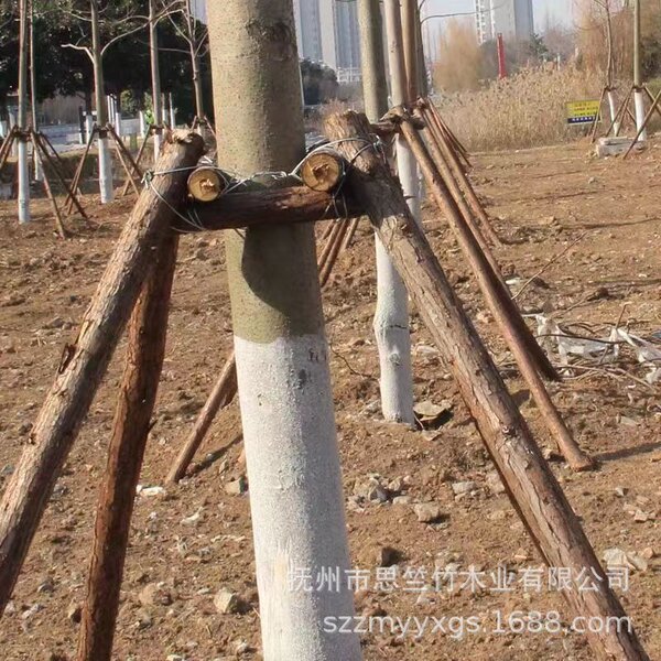 Fir poles