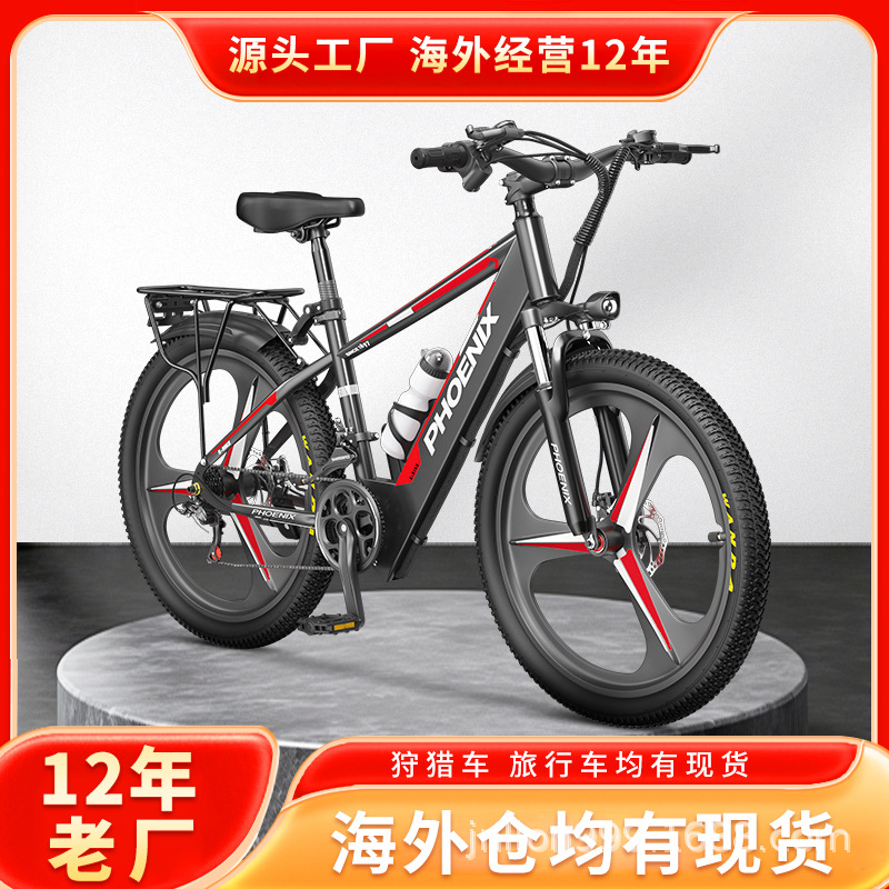 Bicicleta asistida eléctrica Phoenix Batería de litio estándar nacional Coche eléctrico para hombres y mujeres Motocicleta pequeña Coche de batería de transporte
