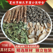 散节四物汤夏枯草猫爪草蒲公英郁金茶中药材精选原材汤茶包