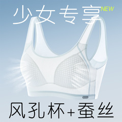 夏の少女の下着の女子学生の中学校の高校の発育期の女の子の絹糸のネットの穴のベストの青春の運動のブラジャー