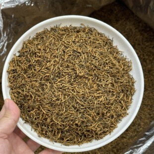 ���Eü�t����~���l�S��ֱ�N�²�ɢ�b����������Sѿ�������l