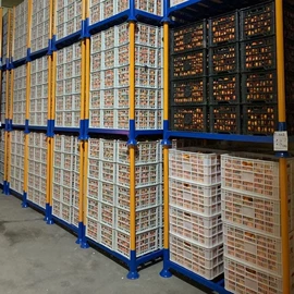 塑胶托盘;仓储笼;塑料箱