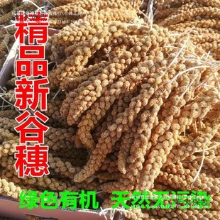 ���������С�����S������Ȼ���������W�^�}����ʳ�b��쾰��̫��