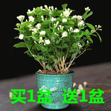 ���^�����������ļ��Gֲ�����Ϙ���ֲ���_������