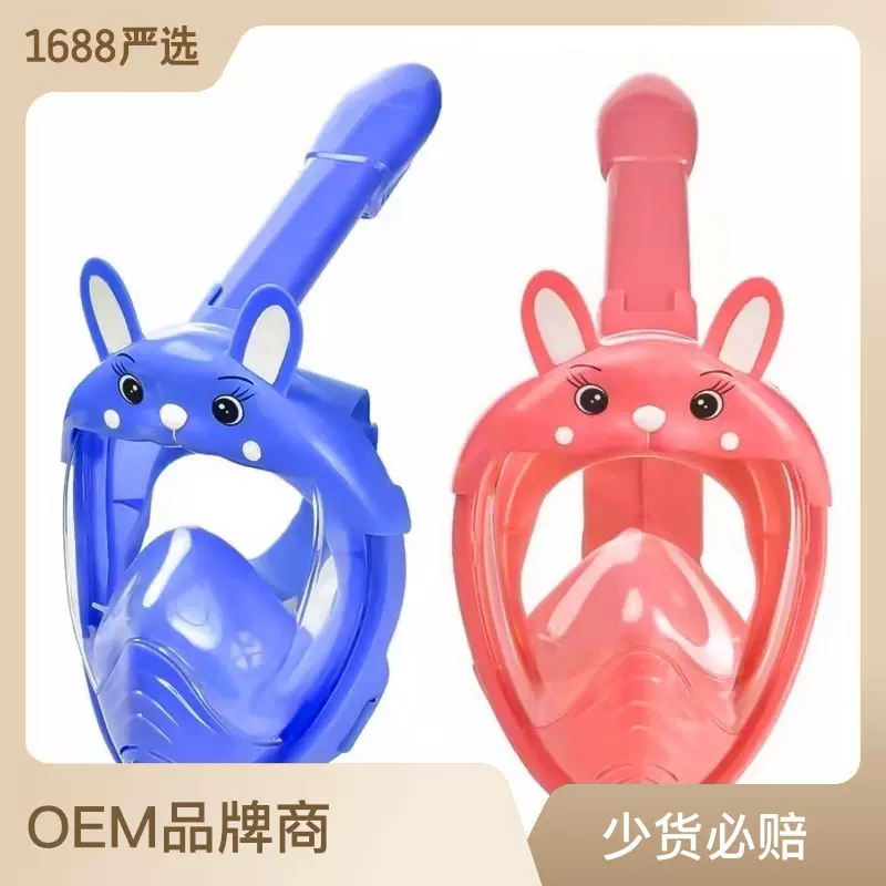 源头工厂卡通儿童潜水面罩夏季全干式带呼吸管沙滩游泳浮潜套装