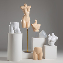 ������ģ������Ů���ϰ�������չʾģ�؃���ѝӾ�b������м���