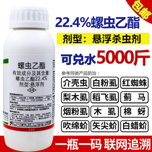22.4%���x�������x���t֩���隤�x�׷�ʭľʭ���x�E�R�t֩��ș
