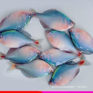 ���B��ˮ�^�p���Q�~�߲�ʯ��Ƥ������ˮ�~���wС���~��ԭ��Ⱥ���~