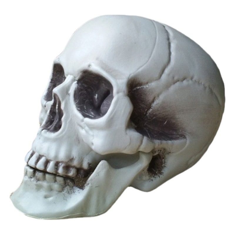 Encantadora simulación cráneo humano modelo Halloween lugar diseño accesorios casa embrujada decoración horror decoración cráneo