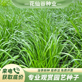 �����ݷN�Ӳ��Ѳ�ƺ�o�¹����ͺ��ͺ������ݲ��ѾG���ݹ�������