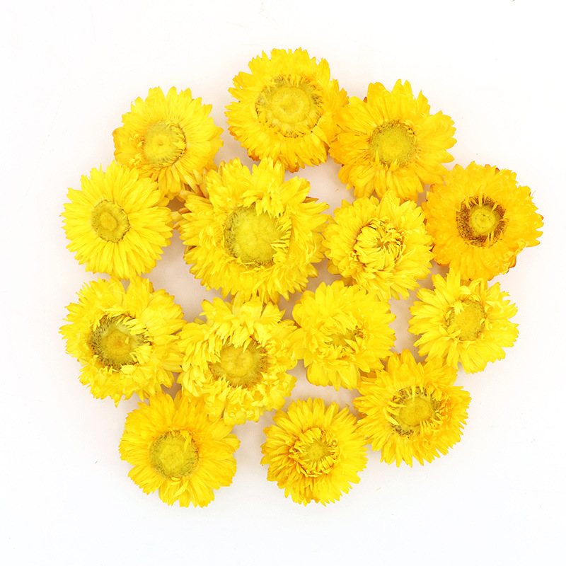 미세 선택 노란색 500g