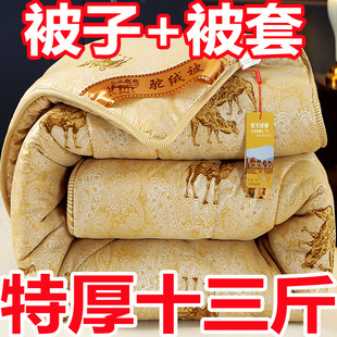 Handle quilt thickened warm winter quilt camel hair quilt core spring and autumn quilt double quilt student dormitory bedding quilt