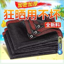 ��ꖾW�Ӻ���ܺھW����W��̫ꖸ�����ꎺ�ɫ����ͥԺ��ꖉ�����