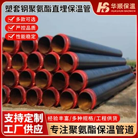 其他管道系统