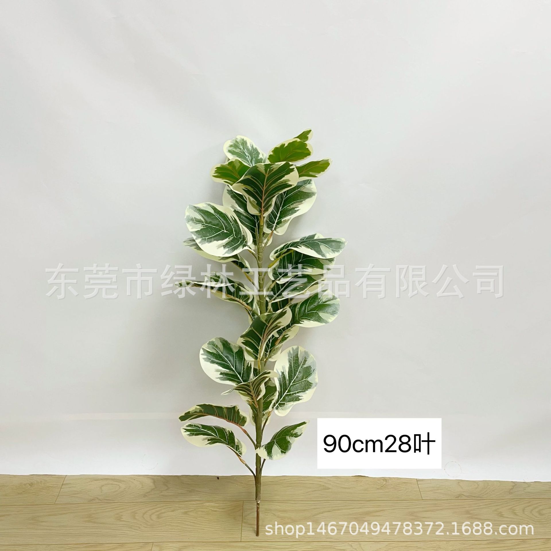 흰색 가장자리 90cm28 잎