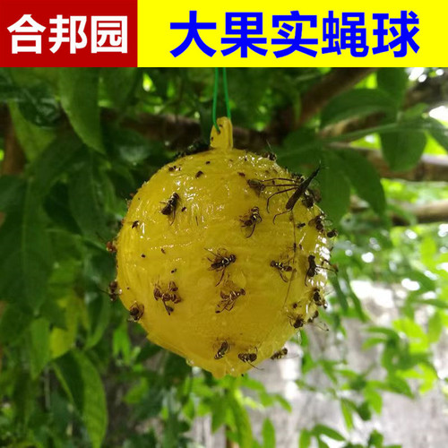 Bait Ball Fruit Tree Pest-Preventive Citrus Fruit Tree Insect-Attracting Ball Pest-Attracting Ball Pest-Preventive Ball Melon and Fruit Large Fruit Fly Bait Ball