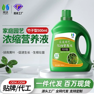 领沃竹子营养液肥料预防叶子发黄烂根盆栽植物液体肥竹子专用肥料