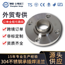 ���Q304���P䓷��m�羳�՘�SW�в庸���m�P�ߜغϽ��mƬ����