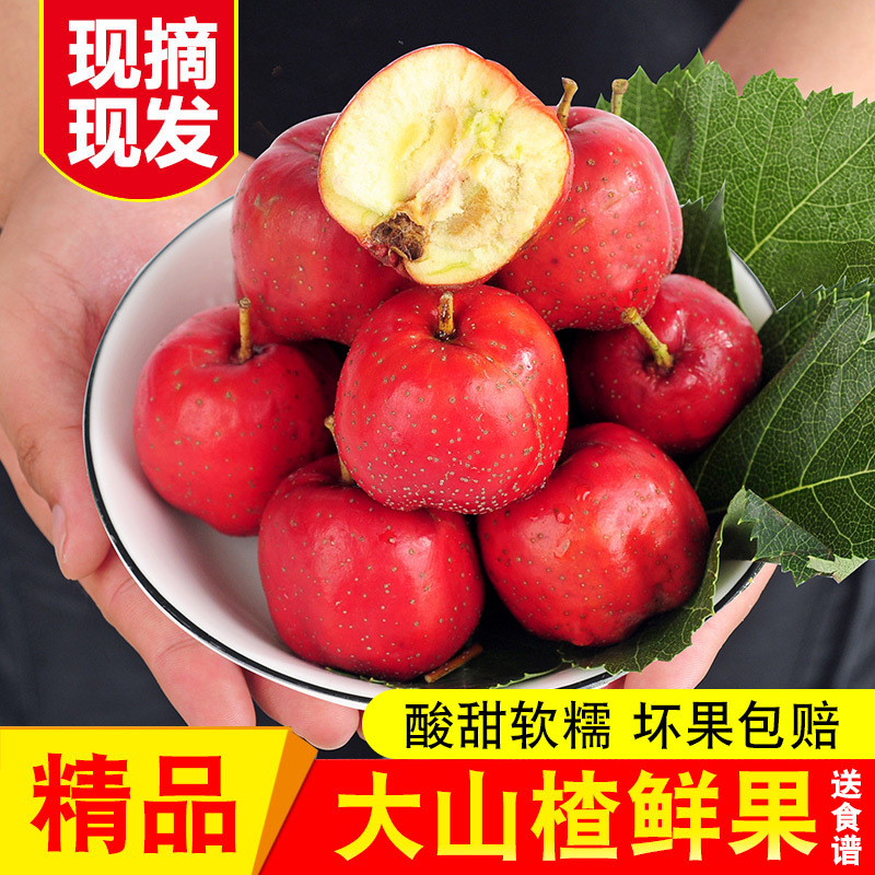 新鮮なサンザシの果実 2.5kg パック サンザシの新鮮な果実 山の赤い果実 卸売 新鮮な大きなサンザシの乾燥スライス 冷水砂糖漬け|undefined